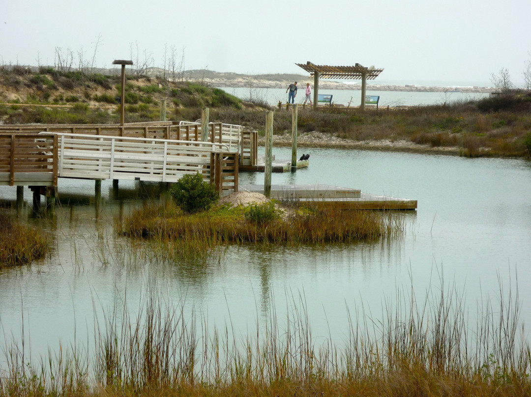 The University of Texas Marine Science Institute景点图片