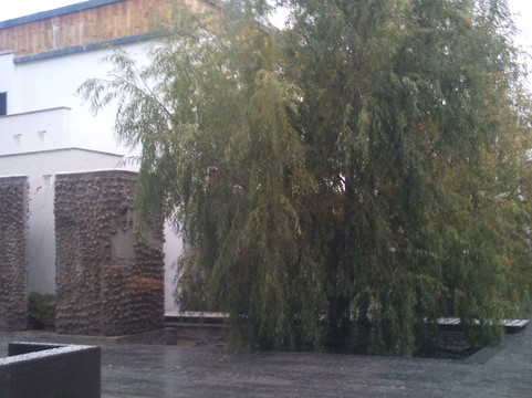 拉萨福朋喜来登酒店主图