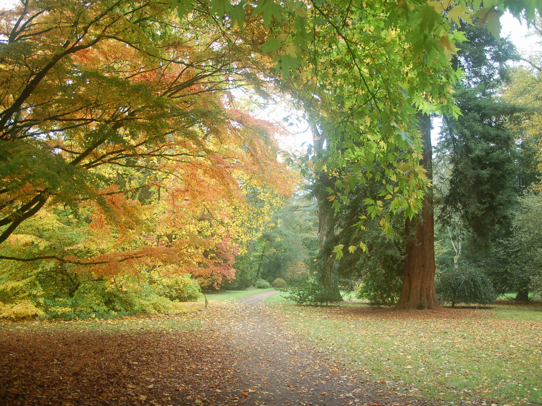 Westonbirt Arboretum-泰特伯里必去景点