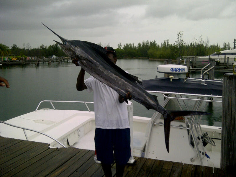 Peterson Cay-弗里波特必去景点