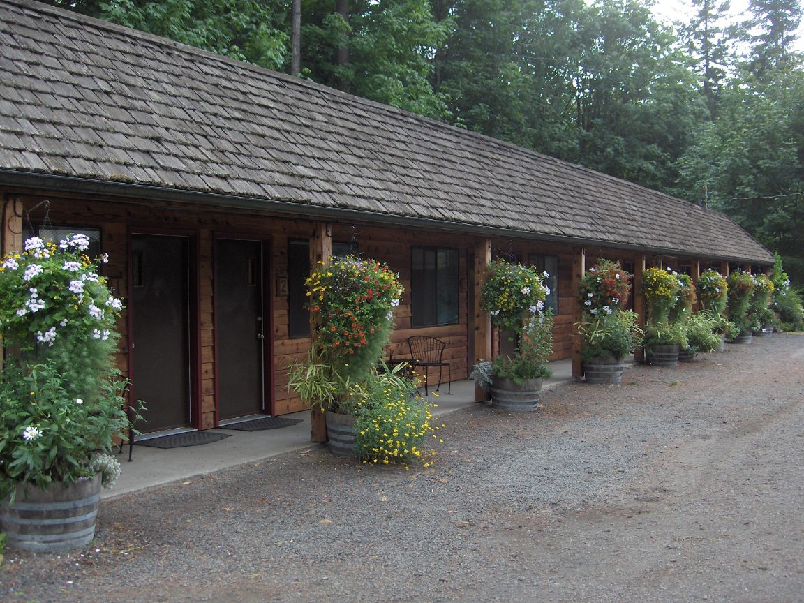 Mount Walker Inn-酒店景观