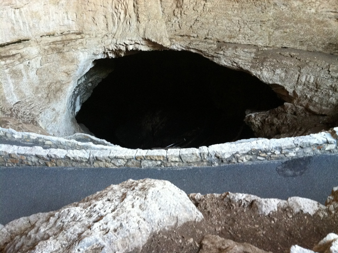 Carlsbad Caverns Natural Entrance Tour-卡尔斯巴德洞穴国家公园必去景点