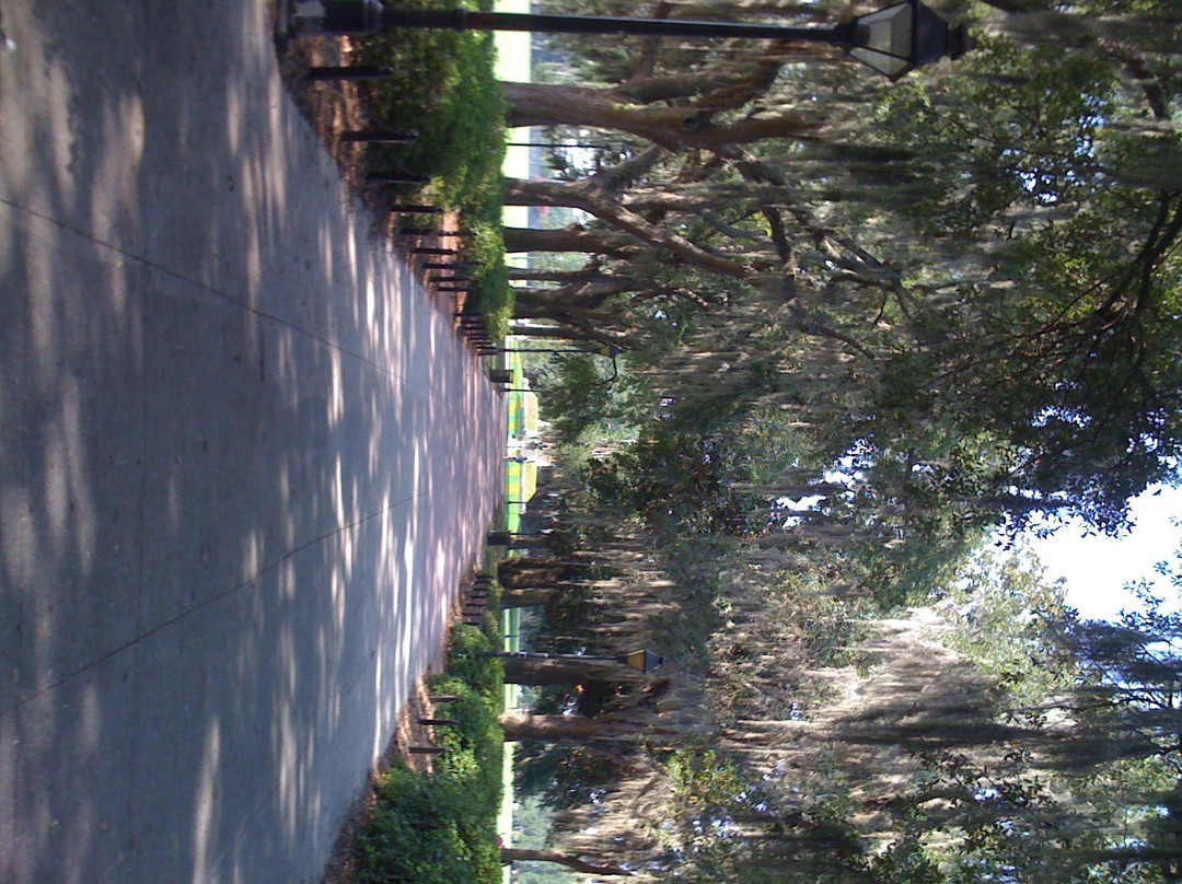 Explore Savannah-萨凡纳必去景点