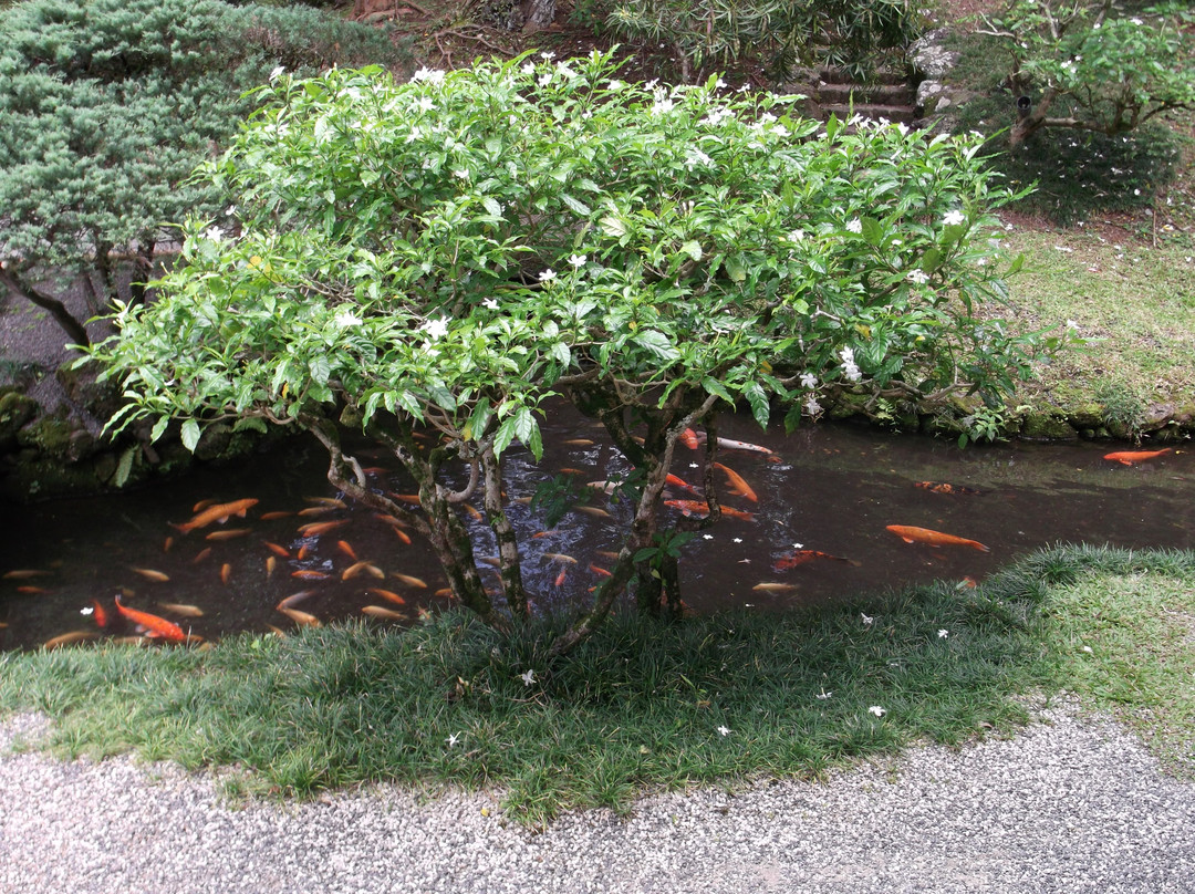 平等院-卡内奥赫必去景点