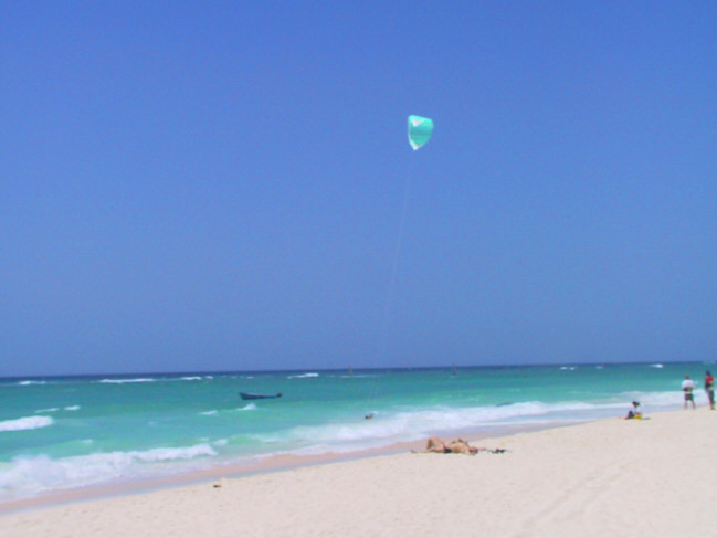 Ocean Bliss Apartments主图