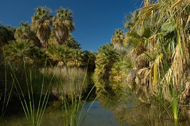 美国科切拉谷保护区景点图片