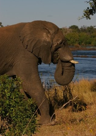 Mosi-oa-Tunya National Park景点图片