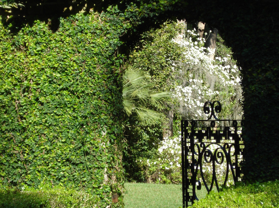 Parque Estatal Maclay Gardens景点图片