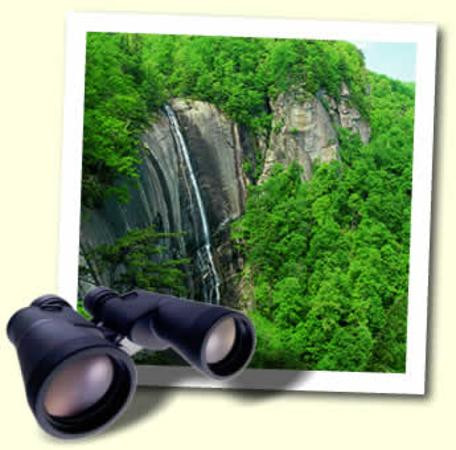 Chimney Rock At Chimney Rock State Park景点图片