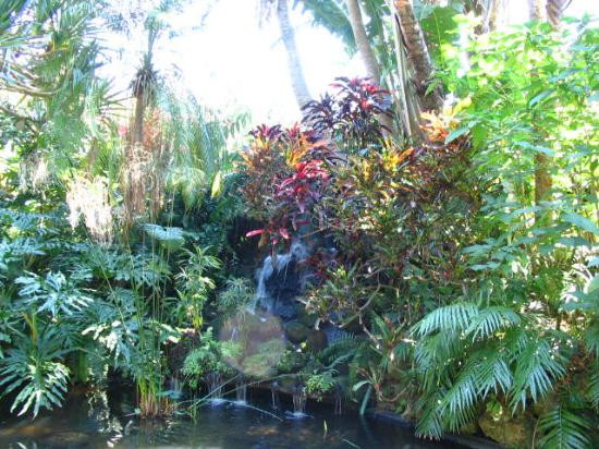 Sunken Gardens-圣彼德斯堡必去景点