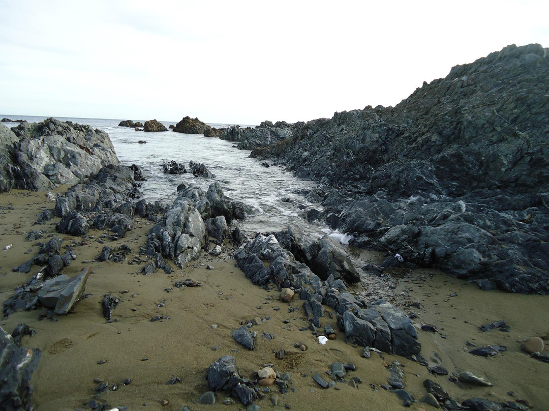 Princess Bay-惠灵顿必去景点