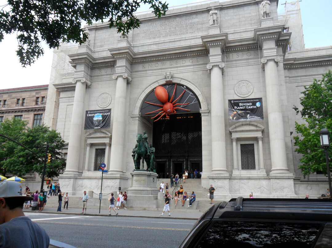 美国自然历史博物馆-纽约市必去景点