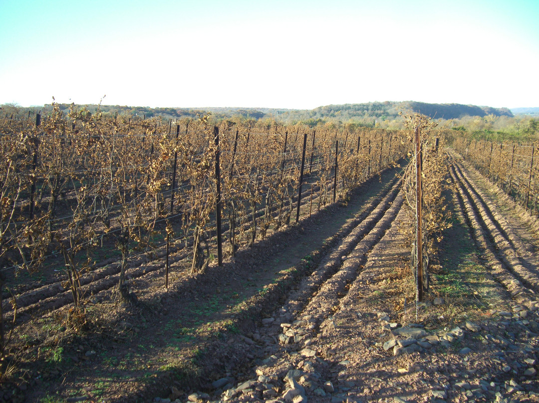 Sand Castle Winery景点图片