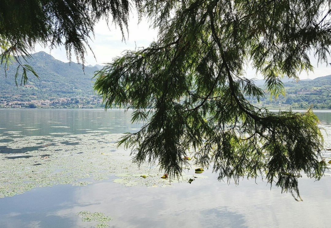 Relais di Villa Adinolfi