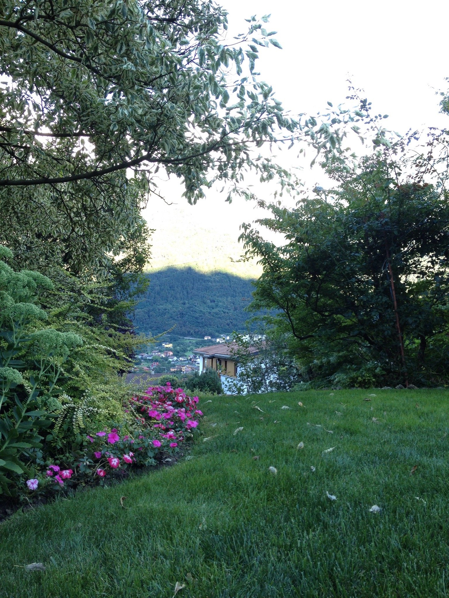 B&B I Pitoti-官方