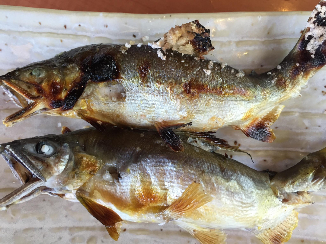 本巢市餐馆和美食-Yanagawa