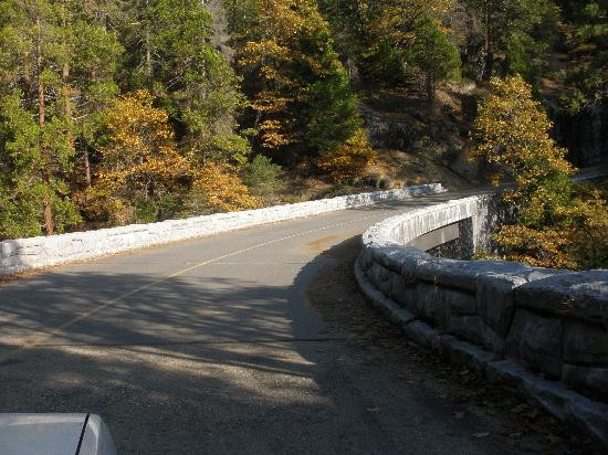 Lodgepole Campground