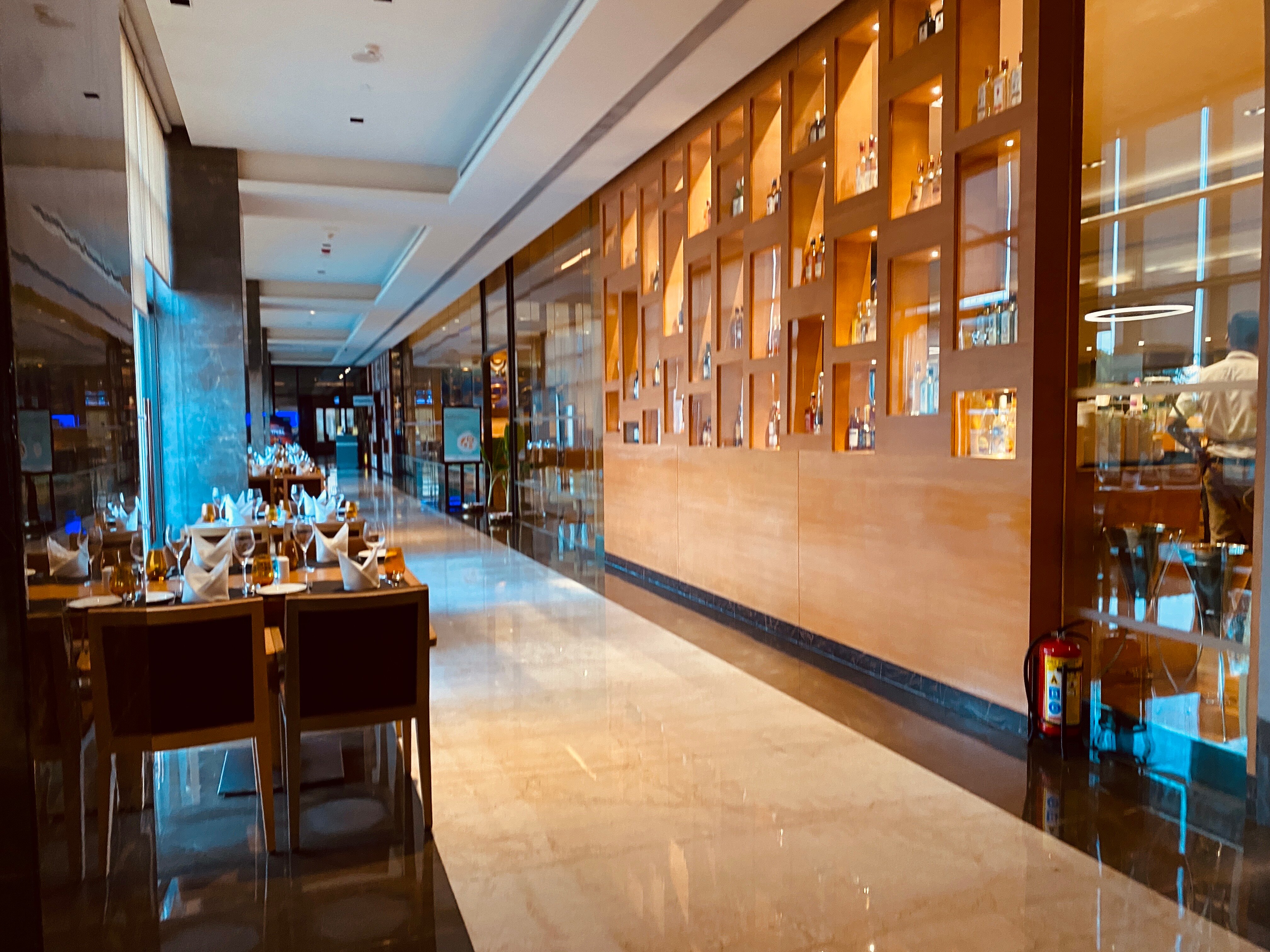 Feathers - A Radha Hotel-餐饮