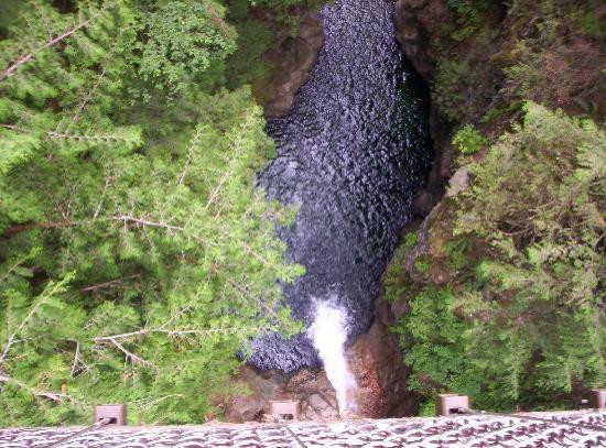 林恩峡谷公园-北温哥华必去景点