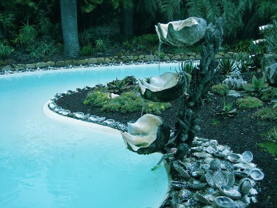 荷花园-蒙特西托必去景点