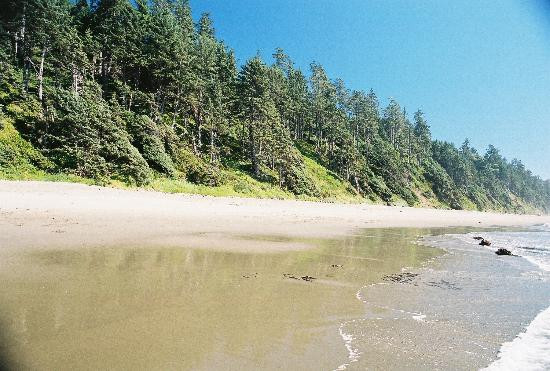 Shi Shi Beach景点图片