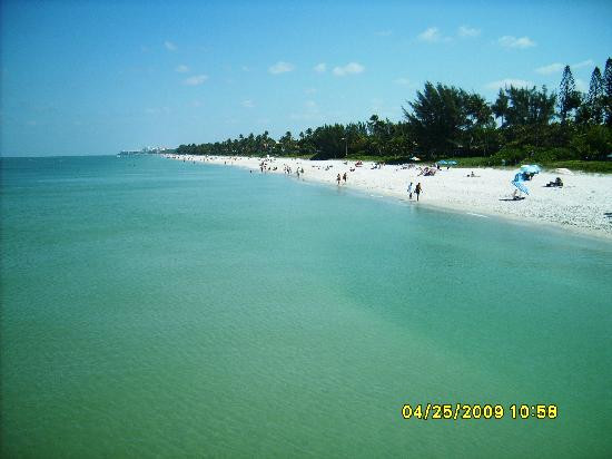 Naples Pier-那不勒斯必去景点