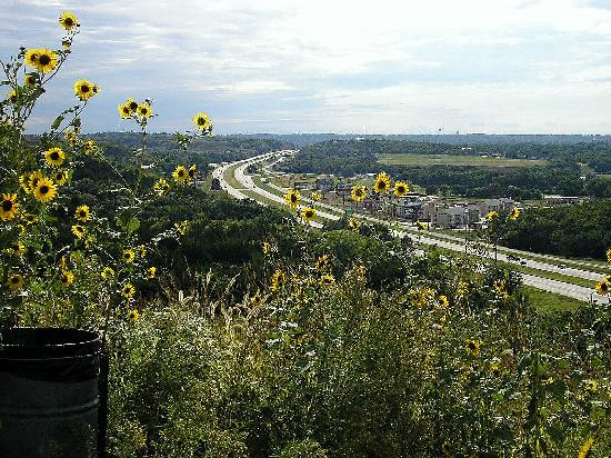 Freedom Park - Atomic Cannon-章克申城必去景点