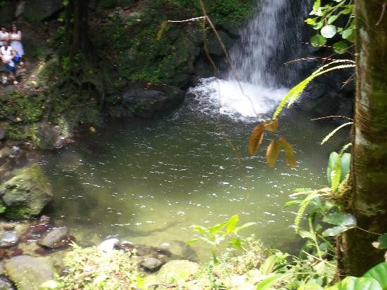 Emerald Pool-Morne Trois Pitons National Park必去景点