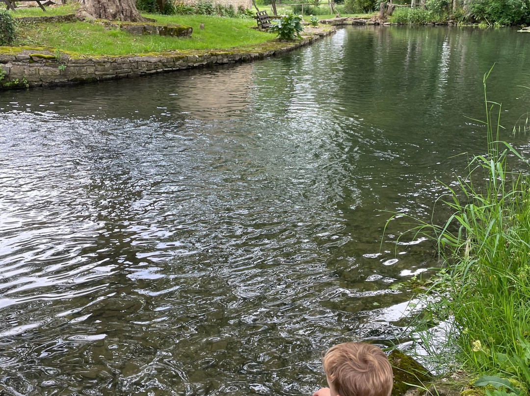 Le Petit Moulin主图