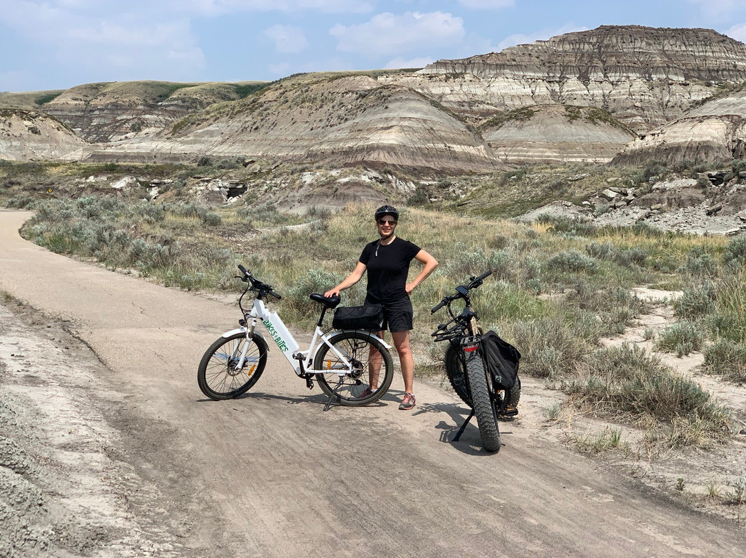 Bikes and Bites-德兰赫勒必去景点