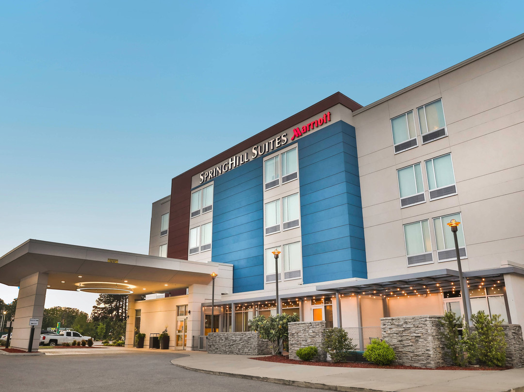 SpringHill Suites by Marriott Lumberton主图