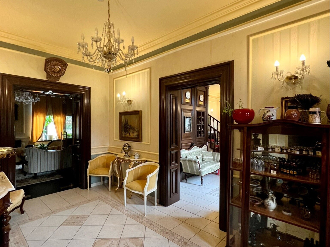 Casa Del Sole Boutique Hotel Timișoara主图