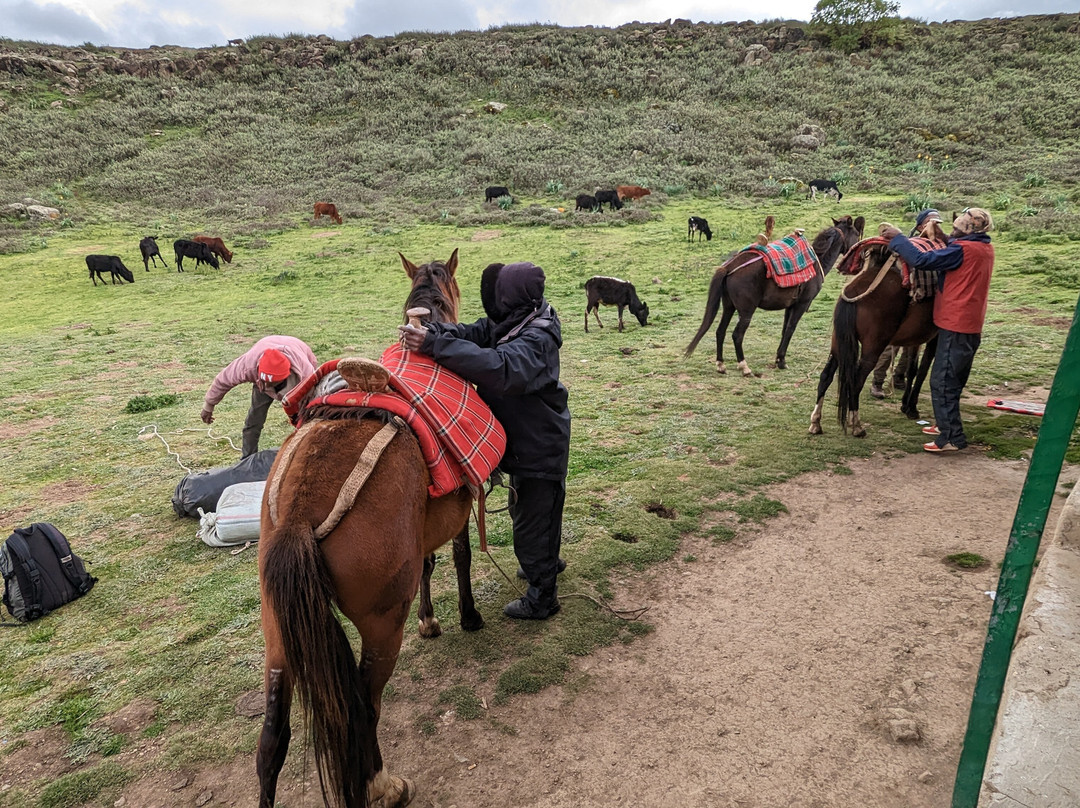 Bale Trek Ethiopia Tours景点图片