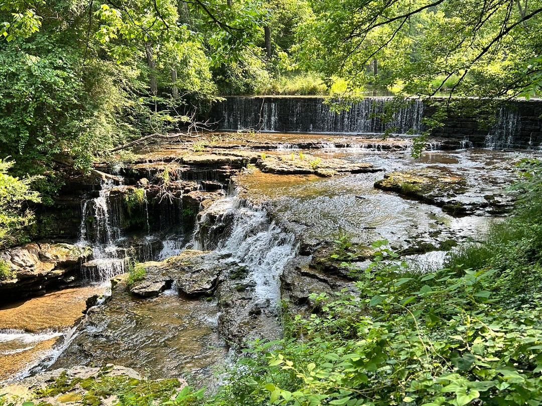 Falls Mill Log Cabin主图