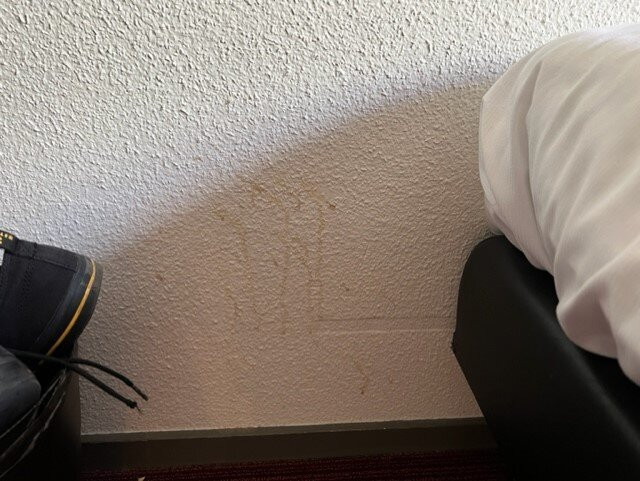 阿姆拉斯酒店主图
