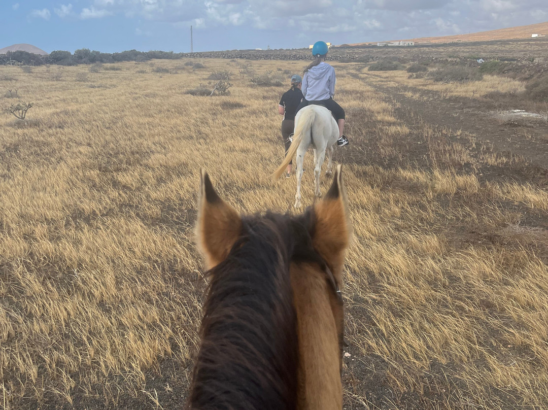 Horses Lanzarote景点图片