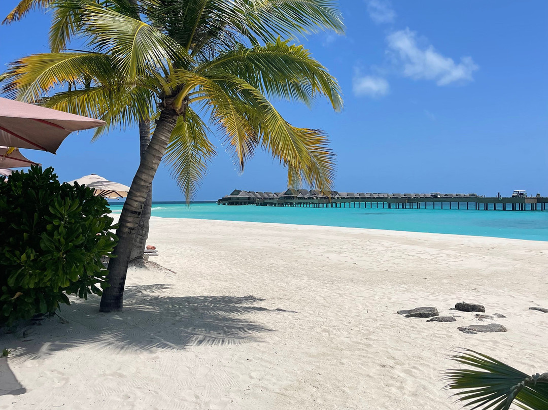 JOALI Maldives主图