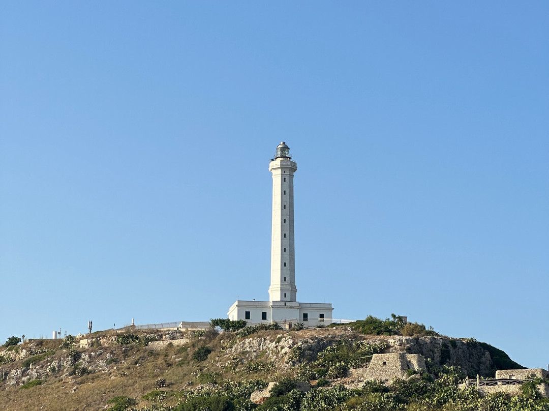 Delfino Blu Escursioni-Torre Vado必去景点