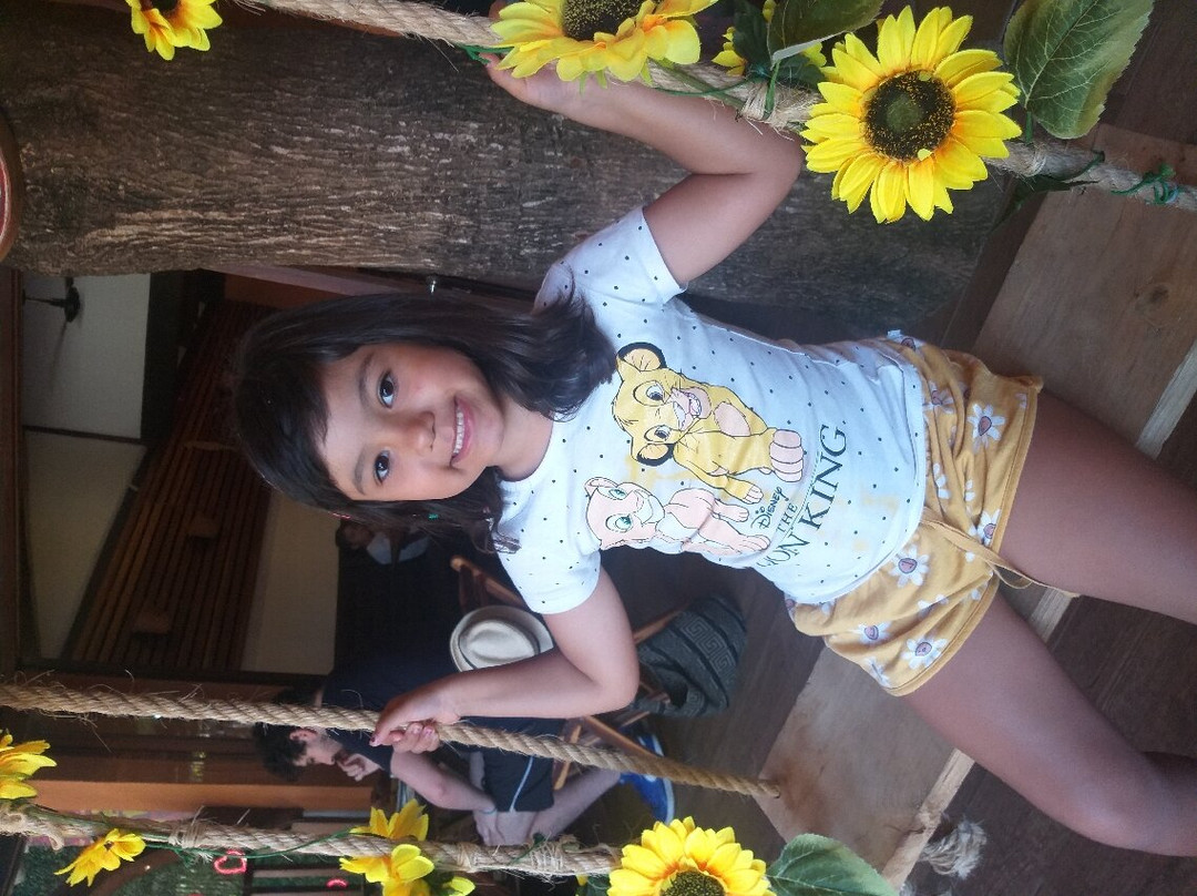 Hotel Pousada Tatuapara主图