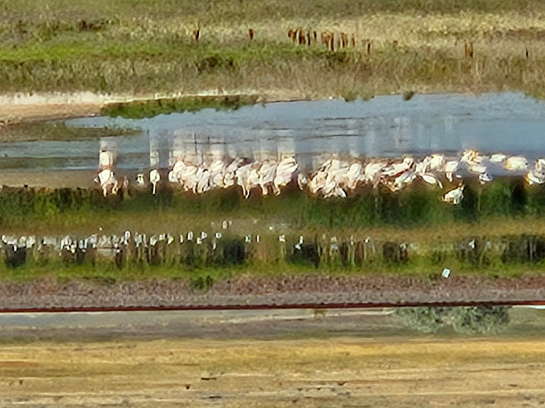 Bowdoin National Wildlife Refuge-Malta必去景点