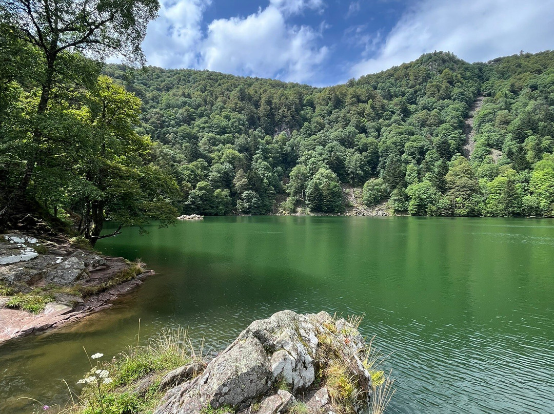 Le lac des Perches景点图片
