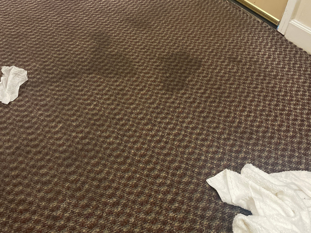 Meadowbrook Motor Lodge主图