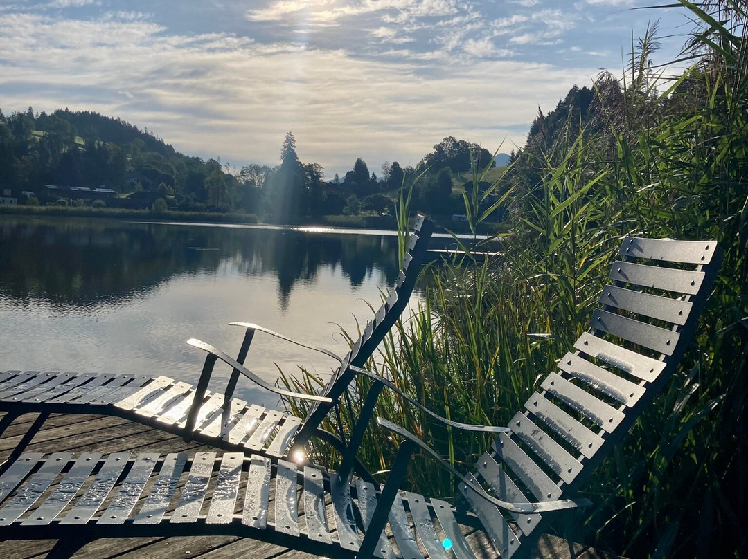 Hotel der Seehof主图