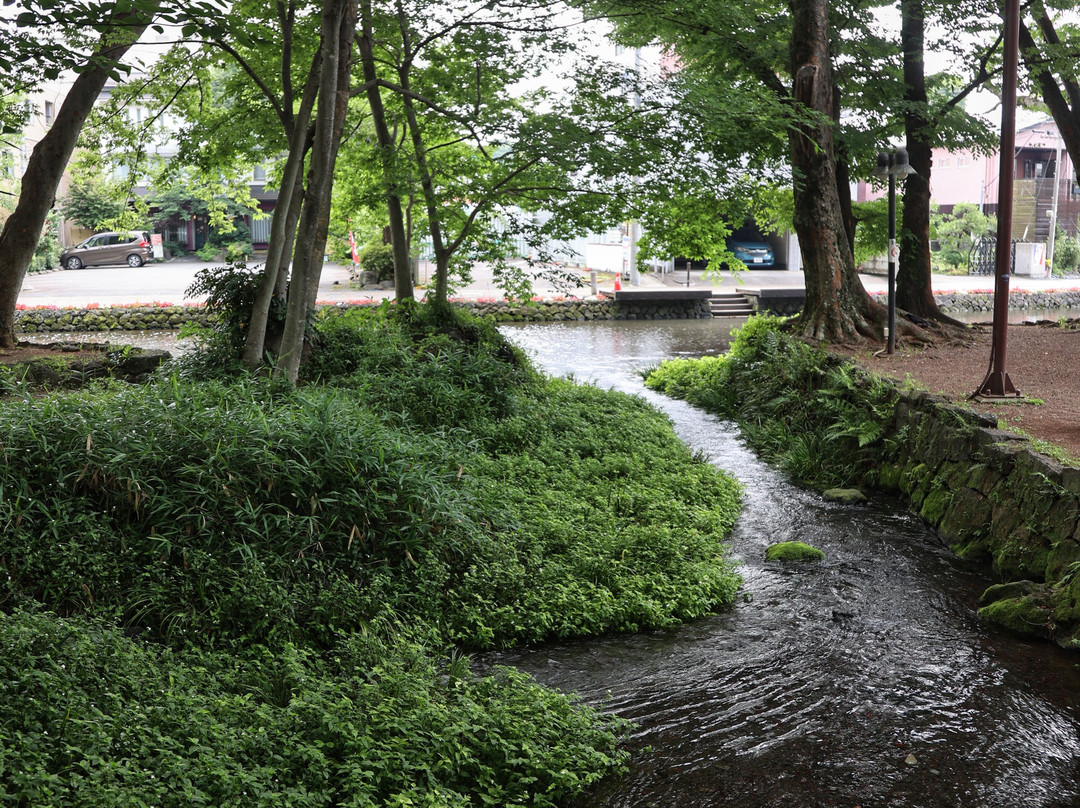 Shirataki Park-三岛市必去景点