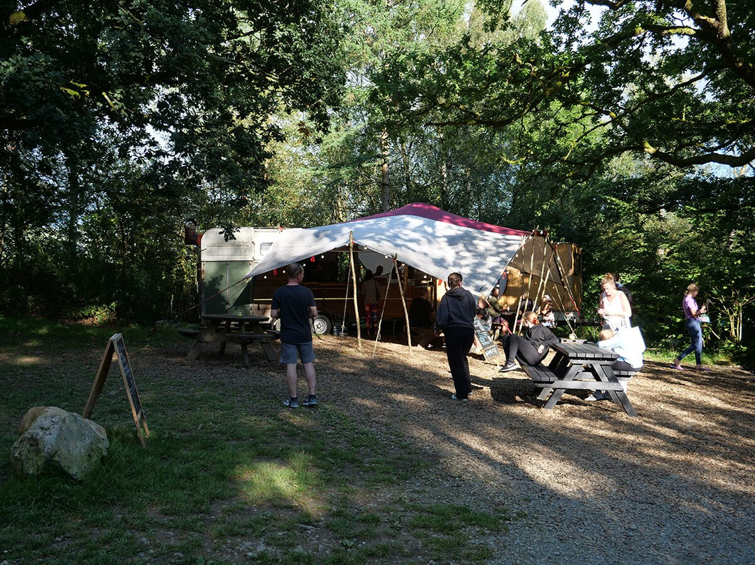 Nomad trailer made pizzas