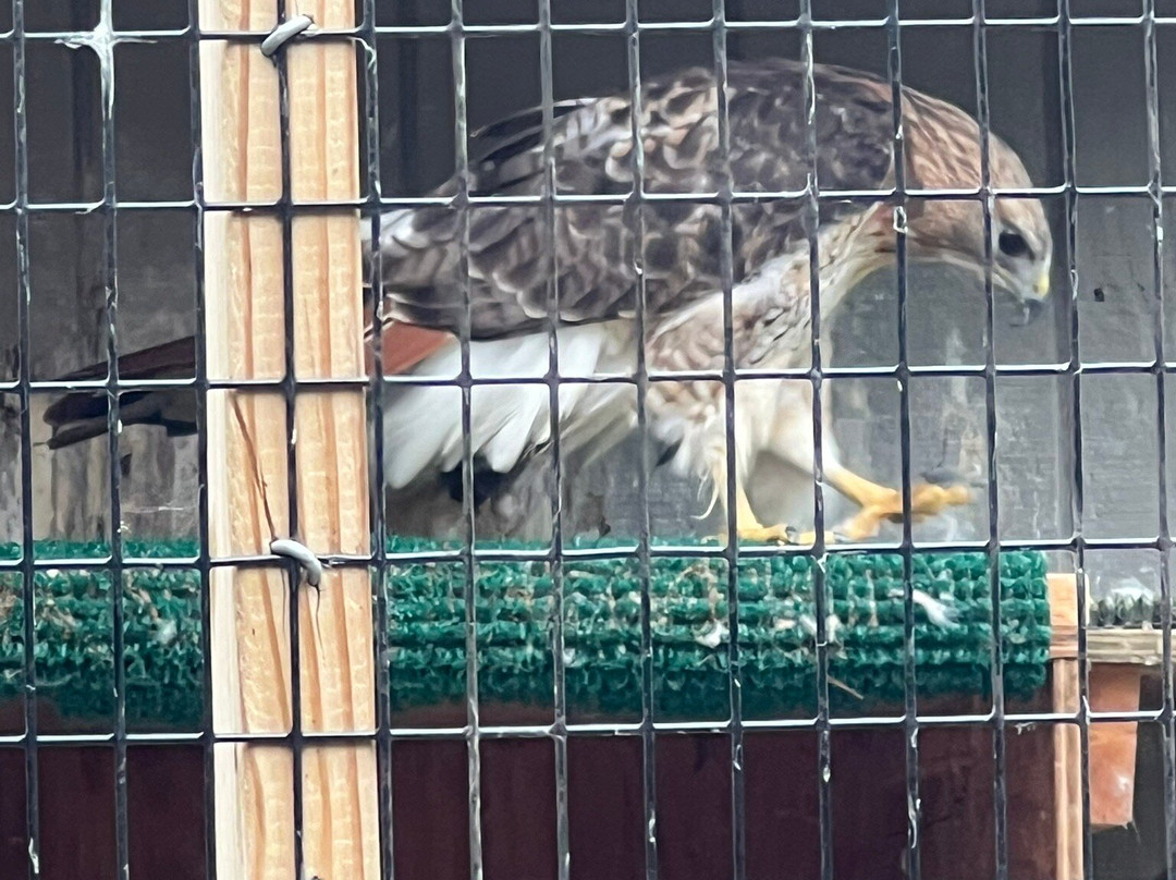 Open Door Bird Sanctuary-Jacksonport必去景点