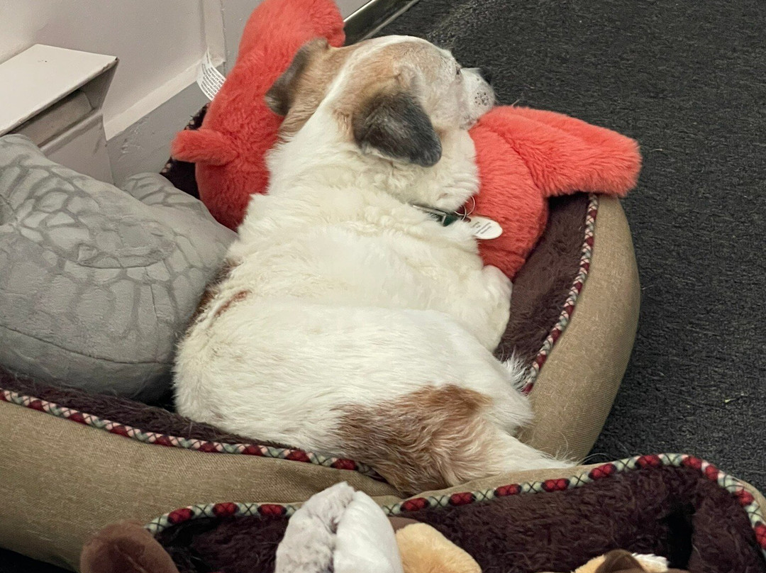 Traverse Bay Inn主图