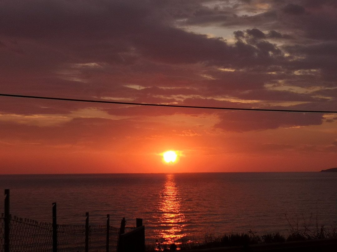 Carrubella Santa Zita主图