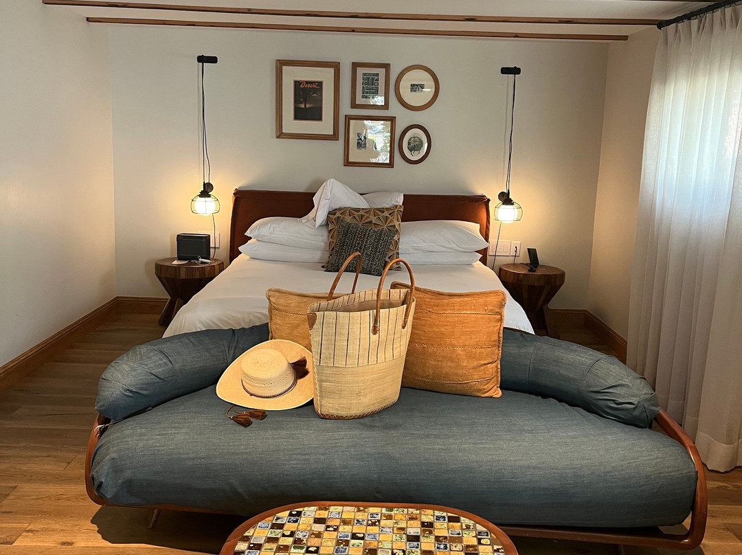 Two Bunch Palms主图