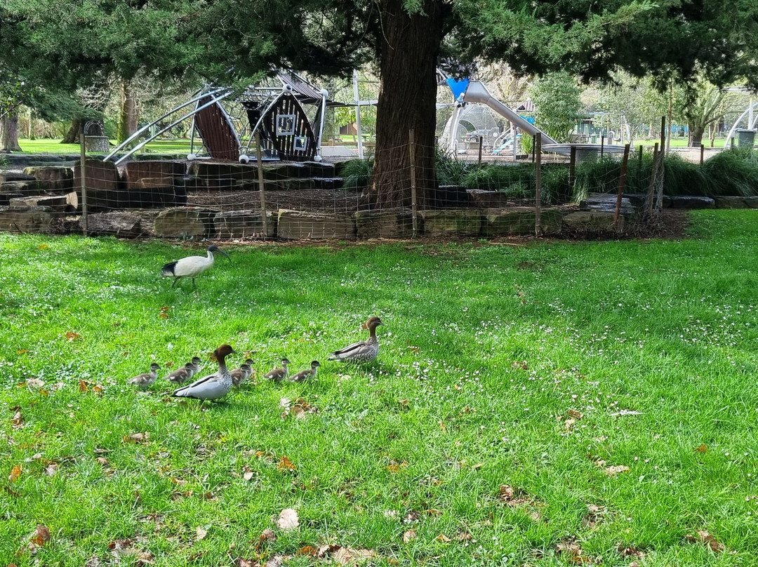 Queens Park-希尔斯维尔必去景点